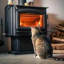 Herfstweer maakt houtkachel verleidelijk, maar kans op overlast vandaag groot